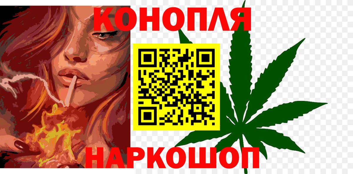 МАРИХУАНА Bruce Banner  Вход с VPN  МАРИХУАНА OG Kush  Карачаевск  Бошки марихуана сатива  Бошки марихуана индика 